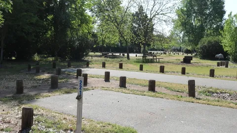 Cottonwood Non-Premium 8-Person site — image 1 of 1