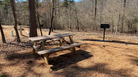 Pine Ridge Premier RV Site — image 2 of 7