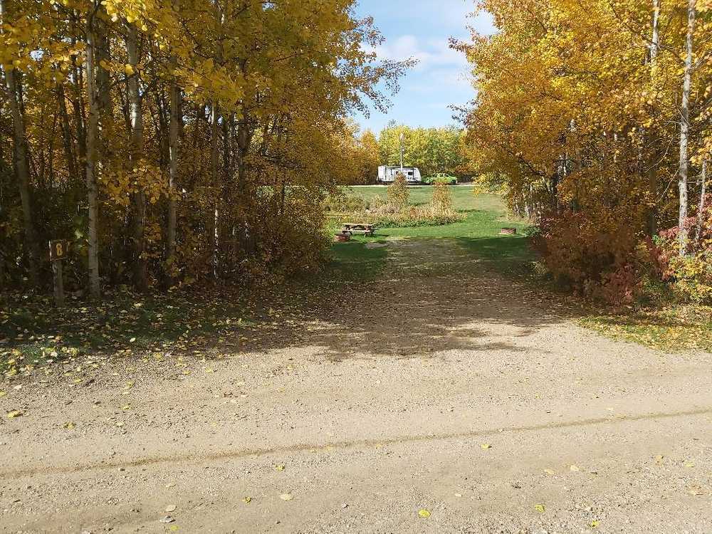 Lindbrook Star Gazer Campground - Photo 5