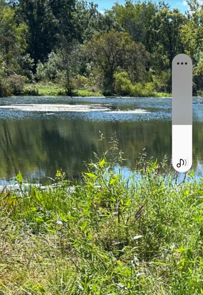 Park Image 5