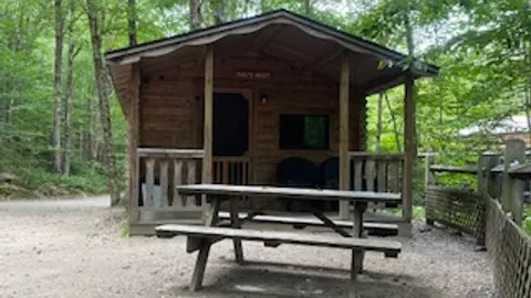 Cabin- Two Room, Wooded — image 1 of 9