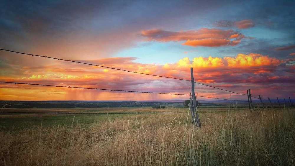 Westerner RV Park - Photo 5
