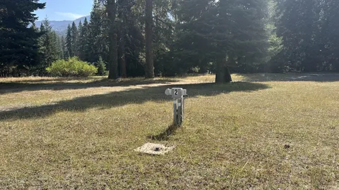 Primitive RV — image 3 of 3