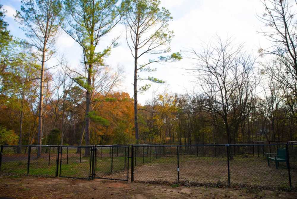 The Pines RV & Cabin Resort - Photo 3