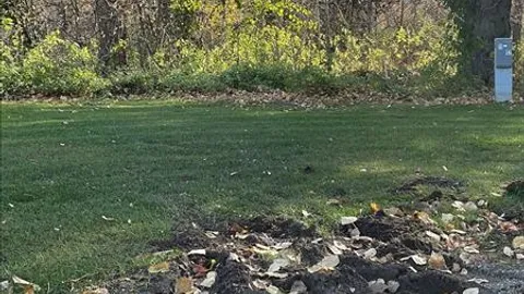 30 AMP RV Site — image 7 of 7