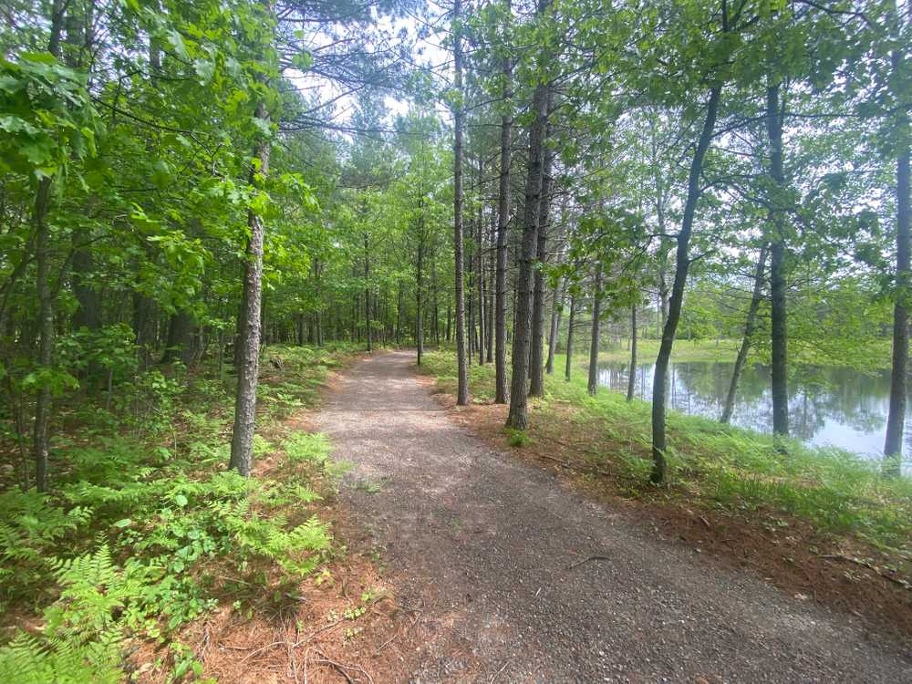 Land O' Lakes Nature RV Resort (Age Restricted 25+) - Photo 2