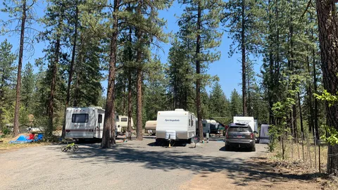 30/50 Amp Deluxe Full Hookup RV Site — image 1 of 3
