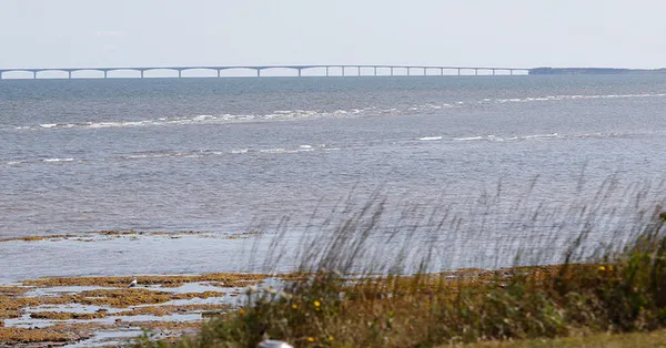 Strang's Shore Camping, Little Shemogue, New Brunswick campground