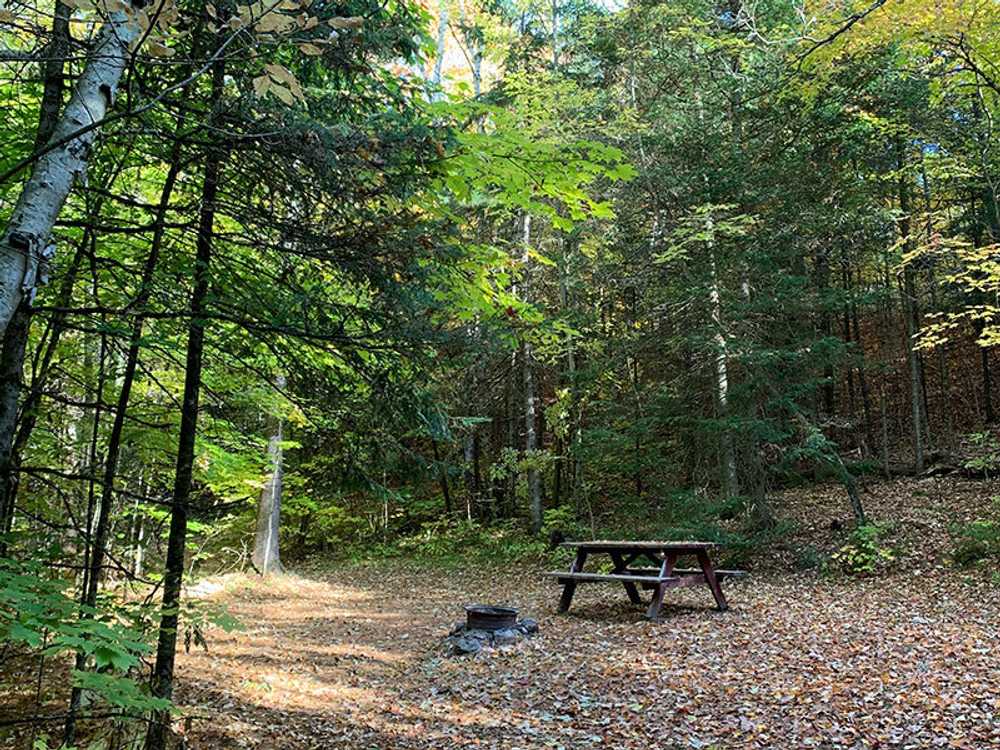 Backwoods Tent Site