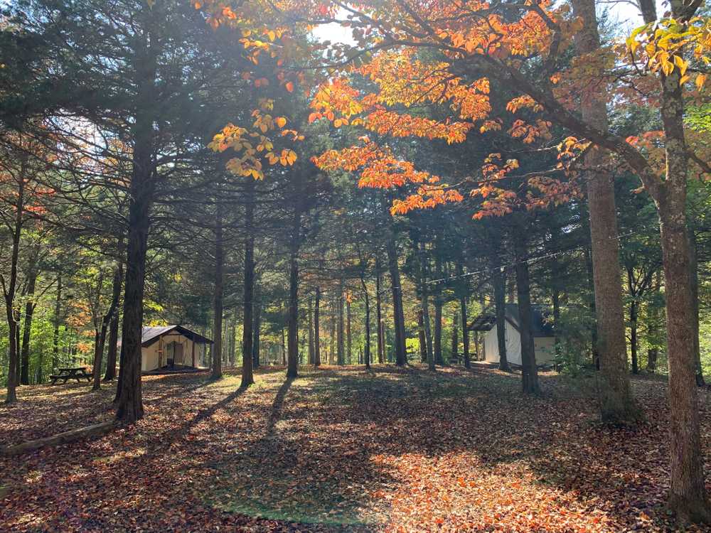 Hidden Ridge Camping - Main Photo