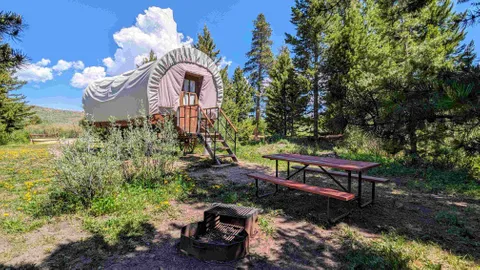 Pioneer Conestoga Wagon — image 1 of 3
