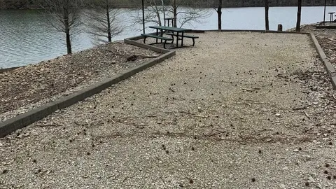 Primitive Waterfront RV/Tent Site — image 2 of 5