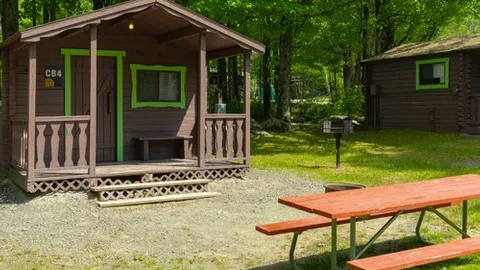 Rustic Cabin, 1 Room — image 1 of 6