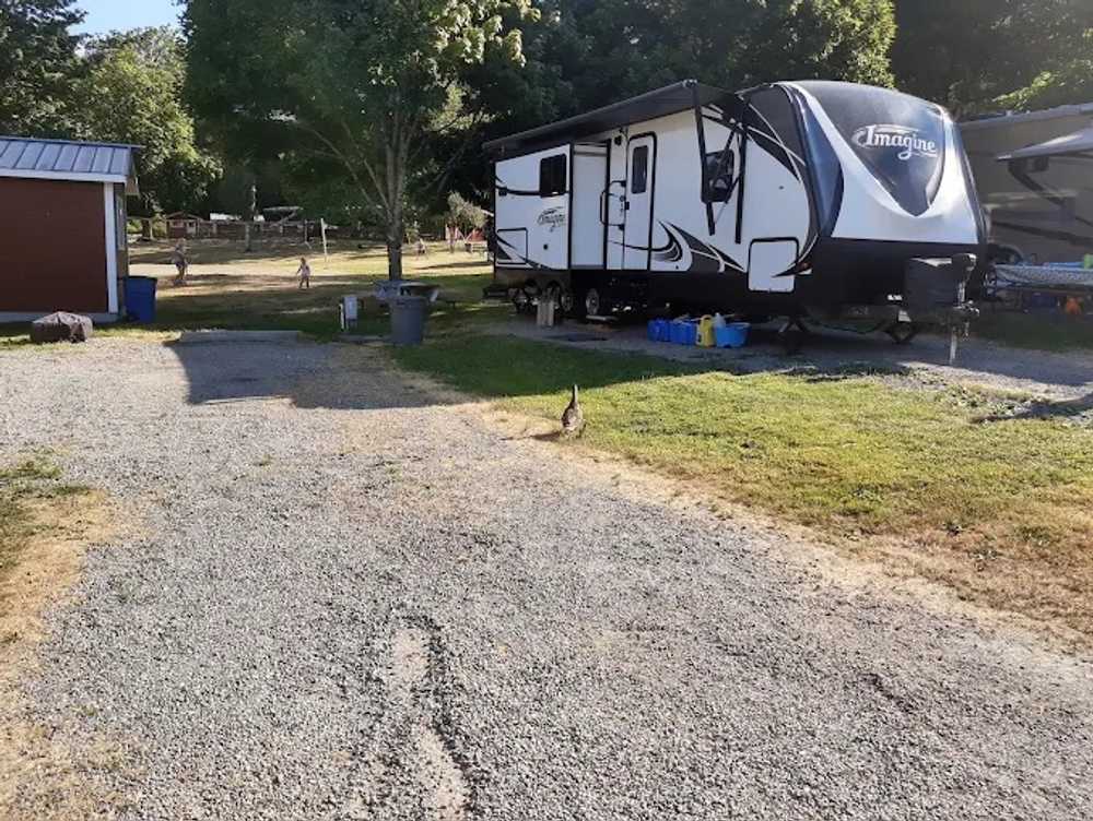 Vasa Park Resort, Bellevue, Washington - Photo 4