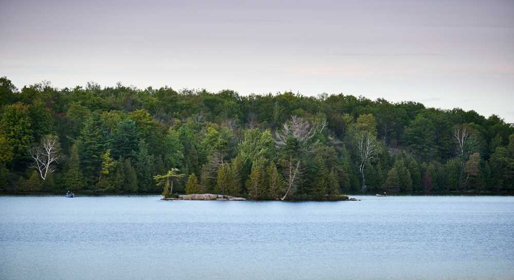 Park Image 11