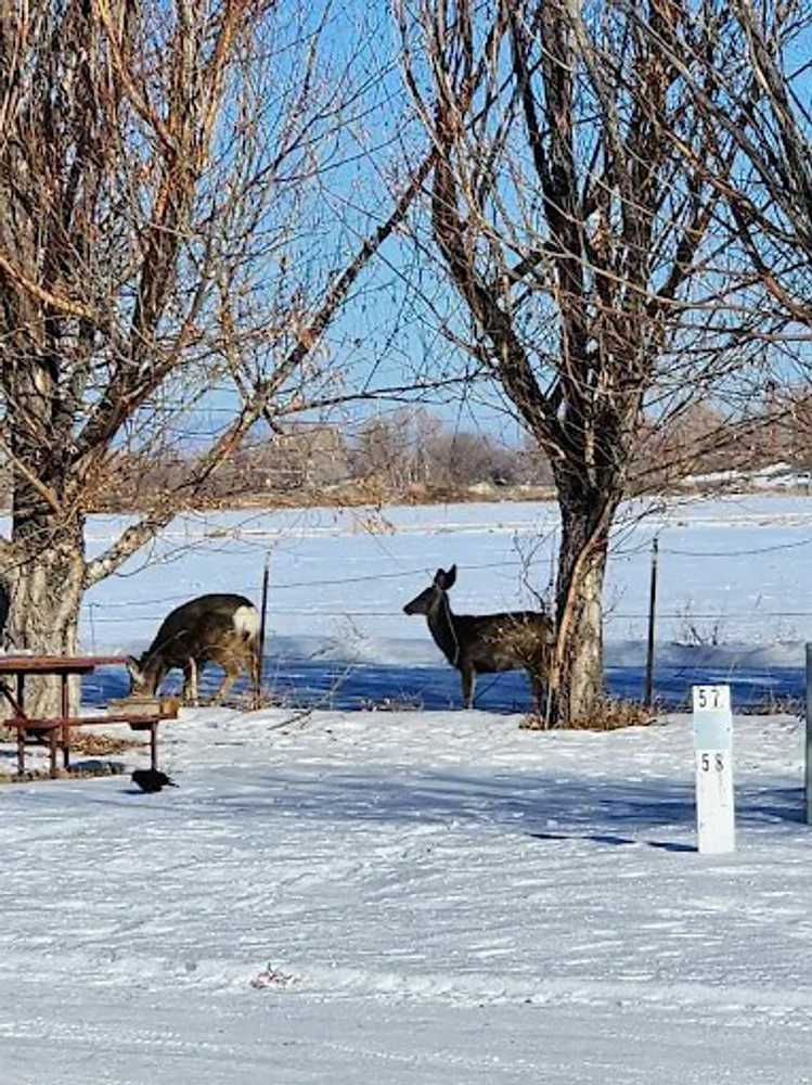 Wind River RV Park, Riverton, Wyoming - Photo 2