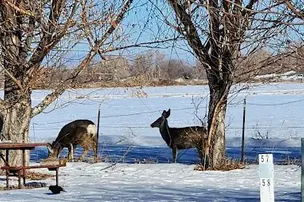 Wind River RV Park – photo 2