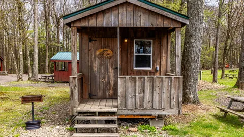 Cabin 5 - Owl — image 2 of 8