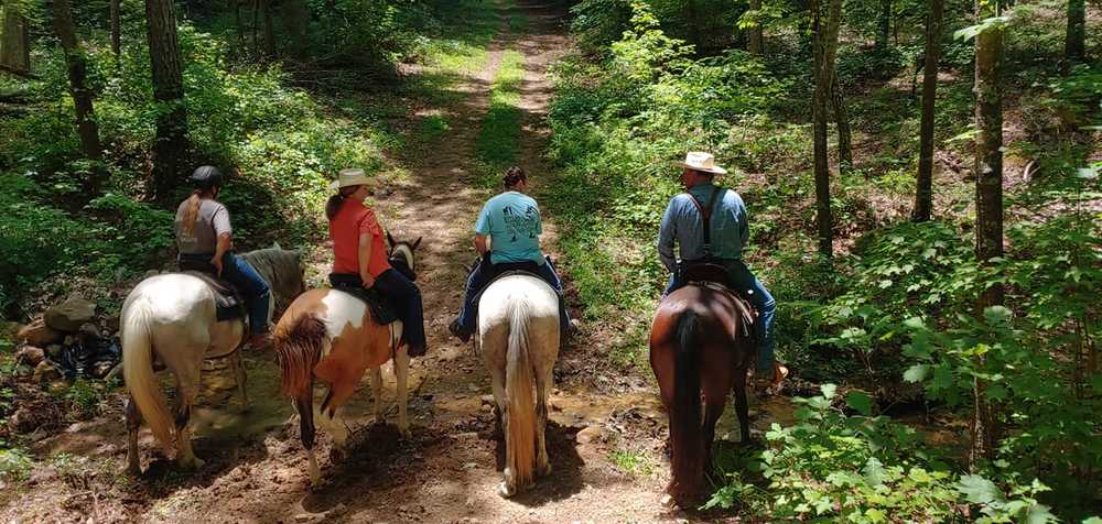 Camp McClellan Horse Trails Campground - Photo 2