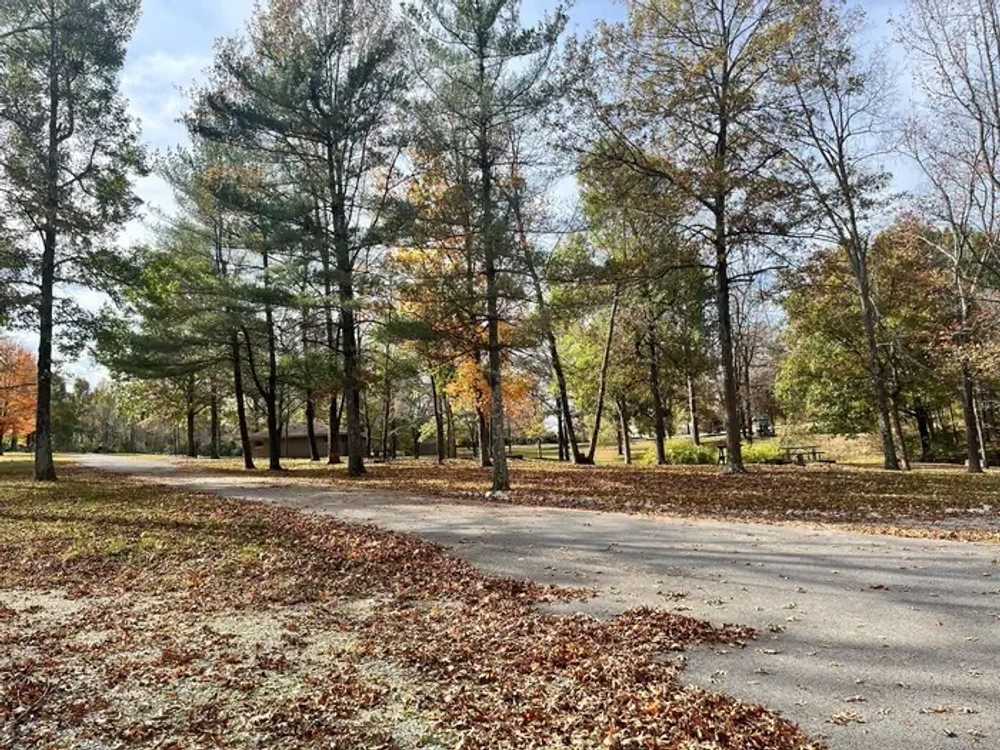 North Fork Campground - McDaniels, KY - Photo 2