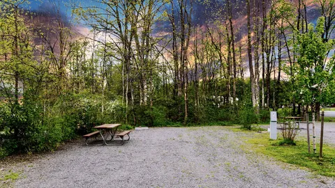 Premium Back-In RV Site — image 10 of 10