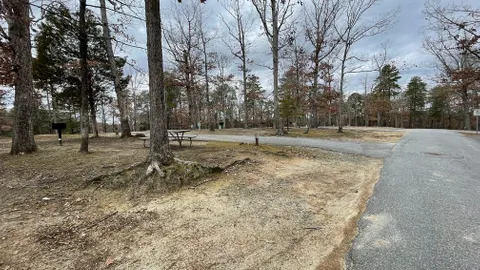 Section A Inside — image 1 of 11