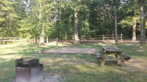 Primative Tent Site — image 1 of 5