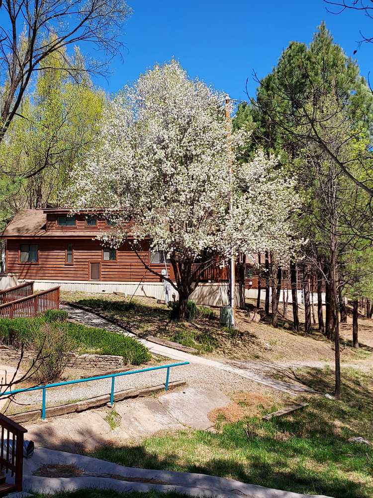 Rainbow Lake Cabin & RV - Photo 2