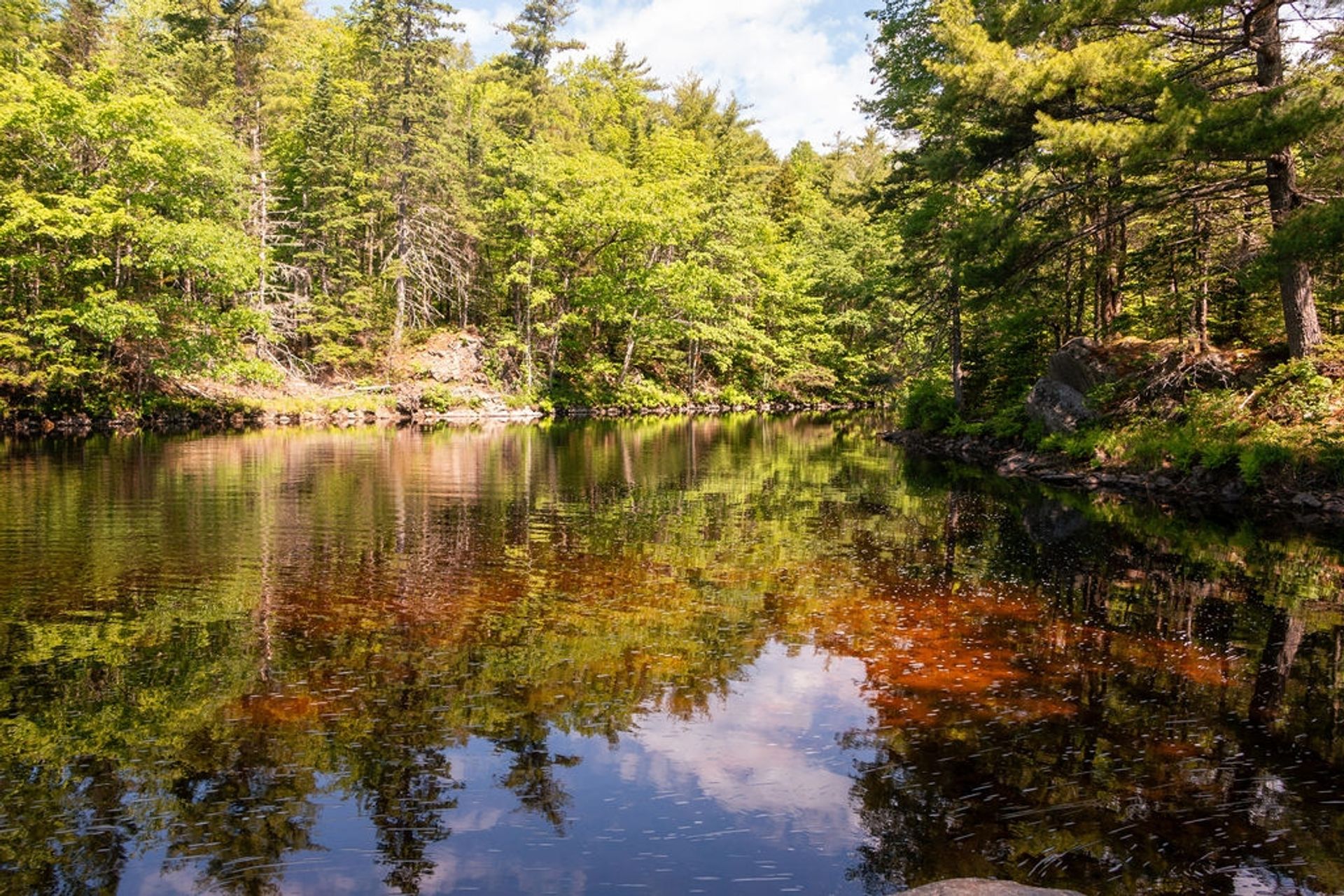 LaHave River Campground