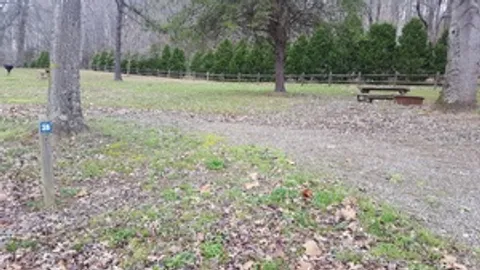 Primitive Tent Site — image 2 of 3