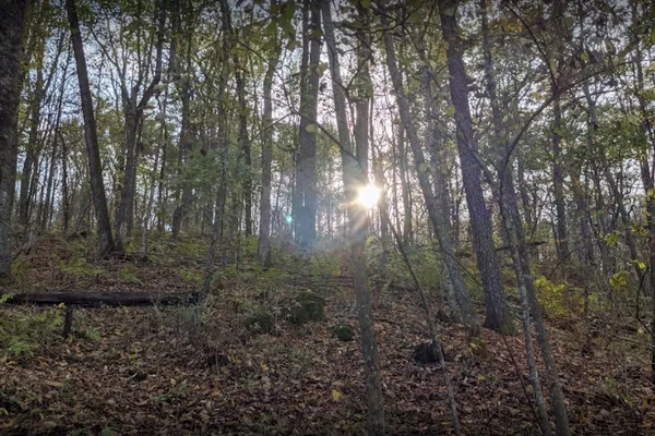 Esofea/Rentz Memorial Park Campground – photo 1
