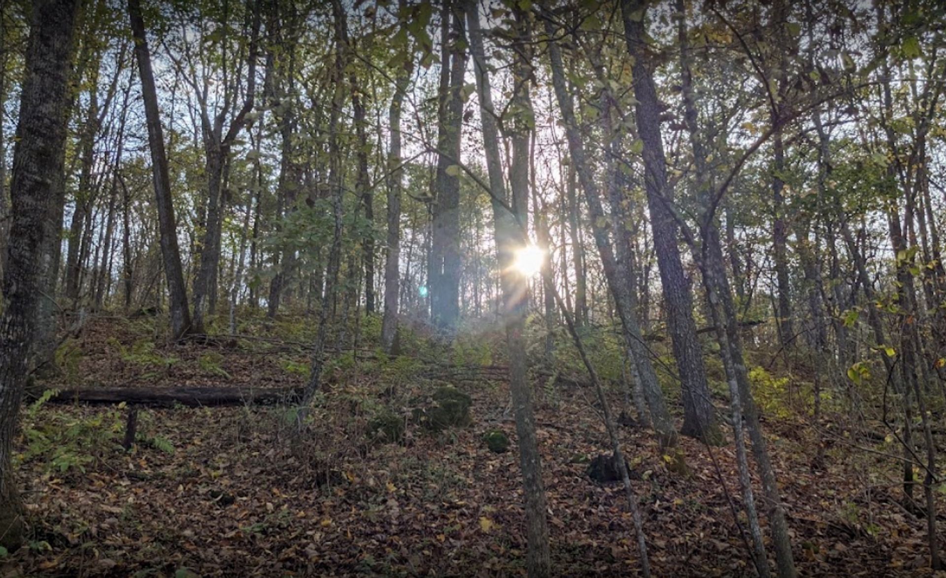 Esofea/Rentz Memorial Park Campground, Viroqua, Wisconsin