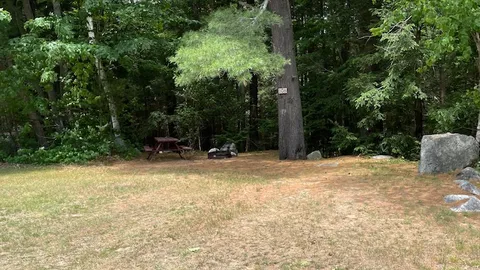 Partially Wooded Tent Site — image 2 of 4