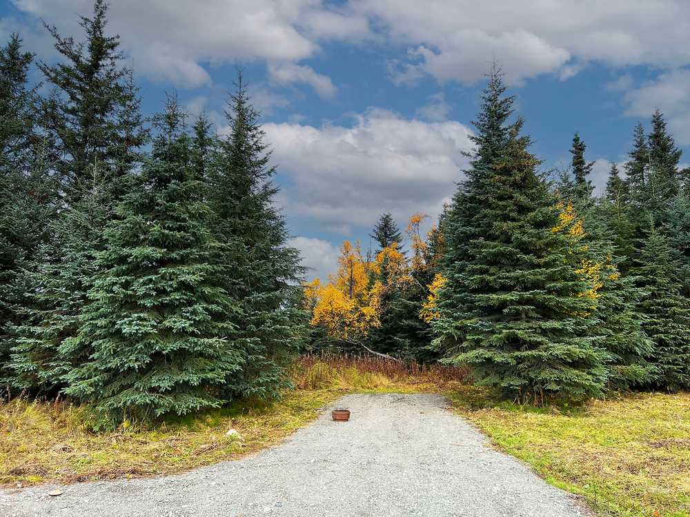 Blue Spruce Campground, Ninilchik, Alaska - Photo 2