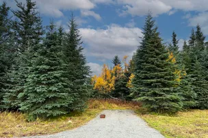 Blue Spruce Campground – photo 2