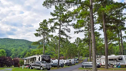 Premium Pull-Thru RV Site — image 1 of 4
