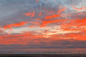 Whalen Island County Campground – photo 5