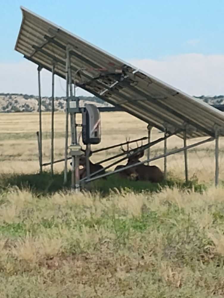 Happy Acres RV Park, Pueblo , Colorado - Photo 3