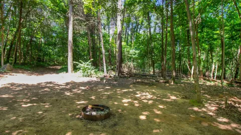 Primitive Group Camping Area — image 2 of 7