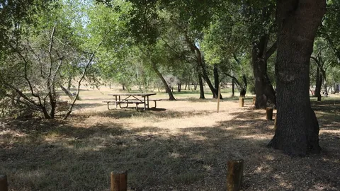 Coyote Flat Non Premium 8-Person Site — image 1 of 1