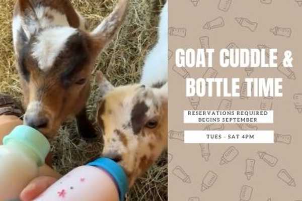 Baby Goat Bottle Feed & Snuggle Session