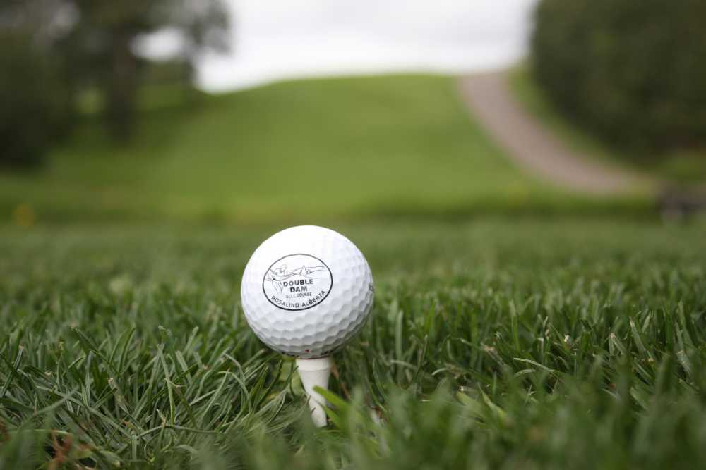 Double Dam Golf Course & Campground - Main Photo