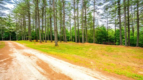 Rustic Tent or RV Site — image 11 of 11