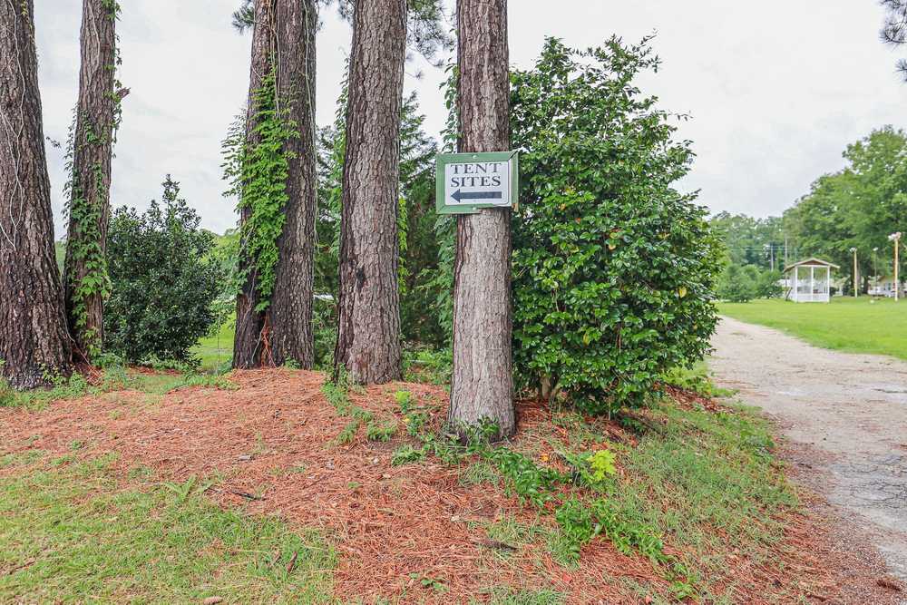 Cabin Creek Campground - Photo 5