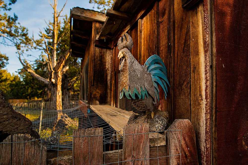 Roadhouse Ranch & Camp - Bend, OR - Photo 5