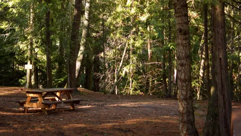Dry Camping — image 2 of 2