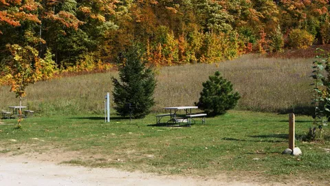Deluxe Back-In RV Site — image 1 of 5