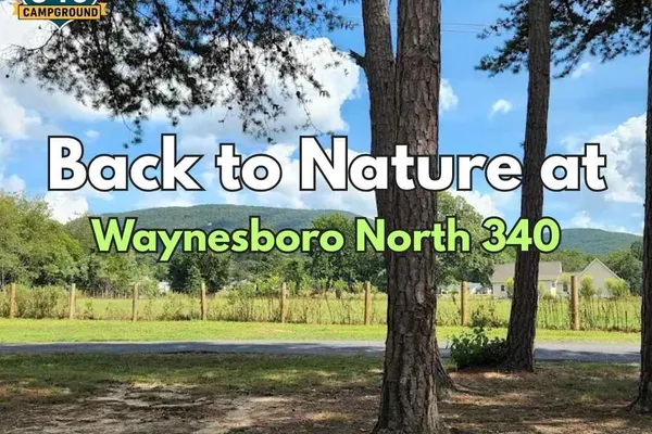 Back to Nature