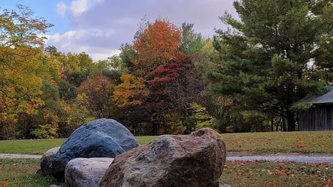 Primitive Tent Site (Tents) — image 1 of 5