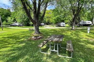 Misthaven Camp Resort – photo 3